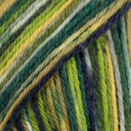 Drops Fabel 542 vert